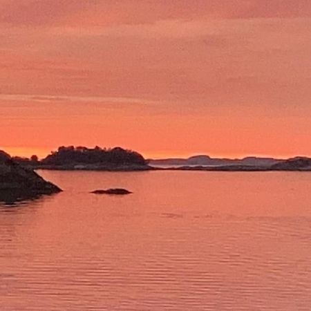 Eksklusiv Rorbu - Havblikk 1 - Batutleie Villa Bekkjarvik Eksteriør bilde